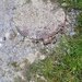 Busteni vanzare teren intravilan